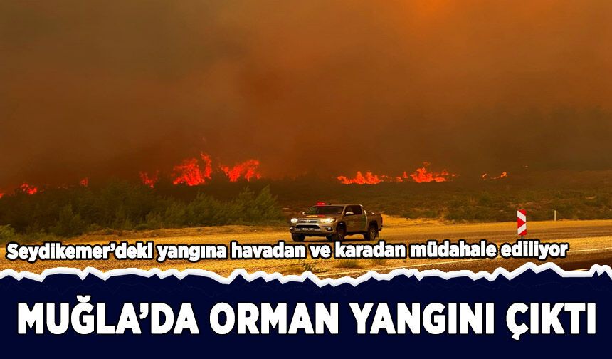 Muğla'nın Seydikemer ilçesinde orman yangını çıktı