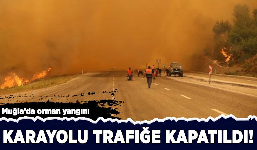 Muğla'da orman yangını: Fethiye - Antalya yolu araç geçişine kapatıldı