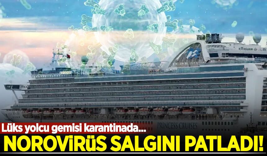 Lüks yolcu gemisinde Norovirüs salgını patladı, gemi karantinada!