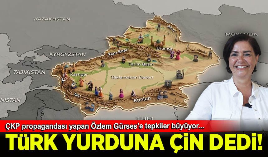 Özlem Gürses'in Çin güzellemesine yazar Ozan Pekgöz'den sert tepki