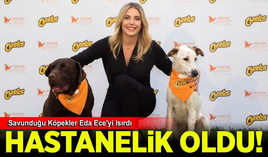 Savunduğu Köpekler Eda Ece'yi Isırdı