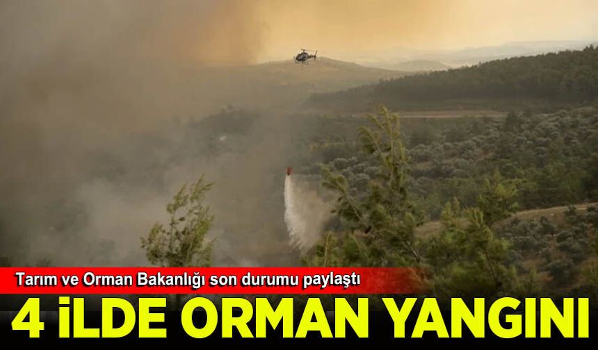 Tarım ve Orman Bakanlığı 4 ildeki orman yangınları hakkında son durumu paylaştı