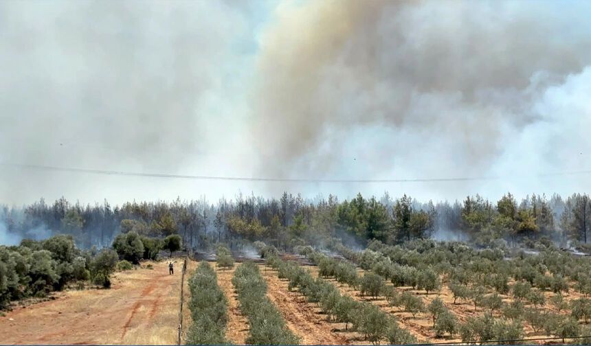 Antalya'da orman yangını: Evler tahliye edildi