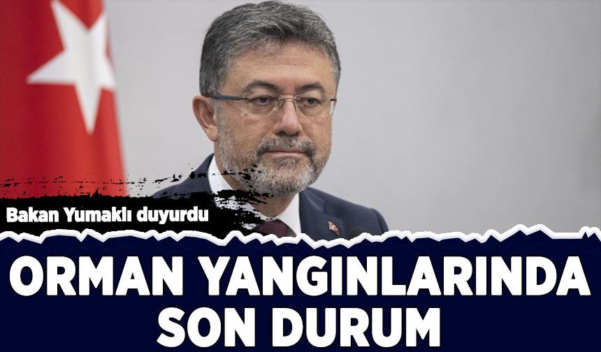 Bakan Yumaklı duyurdu: Orman yangınlarında son durum!