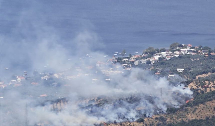 Balıkesir'in Erdek ilçesinde makilik ve zeytinlik alanda yangın çıktı