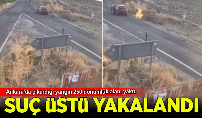 Ankara'da çıkardığı yangın 250 dönümlük alanı yaktı: Tutuklandı