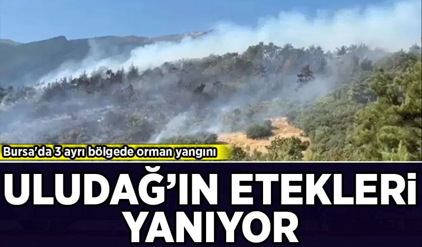 Bursa'da 3 ayrı bölgede orman yangını: Uludağ'ın etekleri yanıyor!
