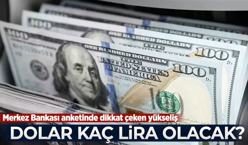 Dolar yıl sonunda kaç lira olacak? Merkez Bankası anketinde dikkat çeken yükseliş