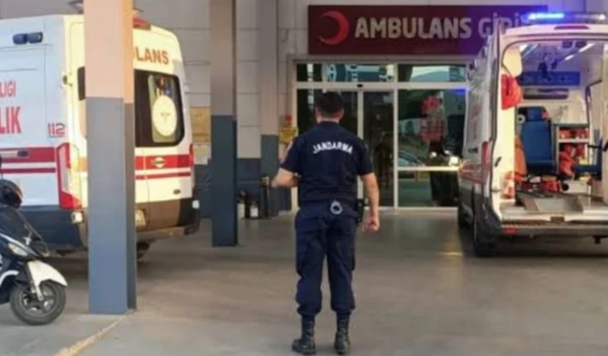 Aydın'da domuz sanıp ateş eden şahıs babasını öldürdü