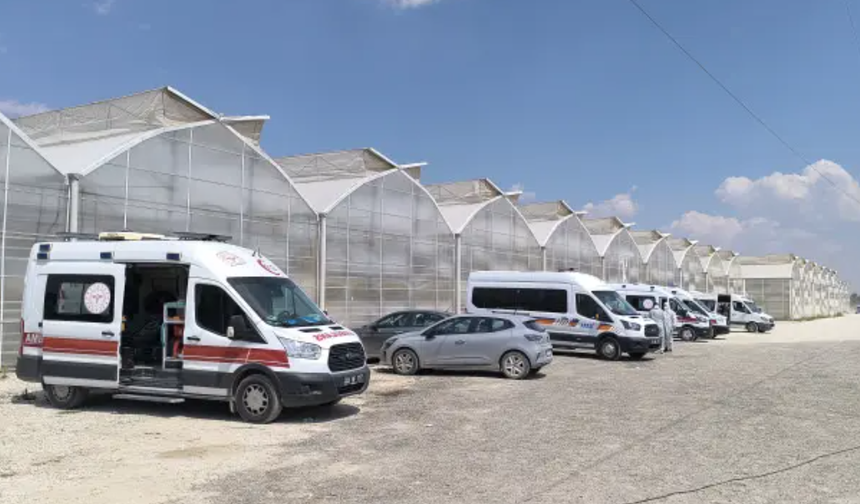 Afyonkarahisar'da tarım ilacından etkilenen sera çalışanlarının sayısı 24'e yükseldi