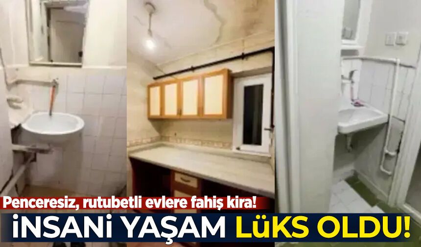 İstanbul'da "İnsani" yaşam lüks oldu: Penceresiz, rutubetli evlere fahiş kira!