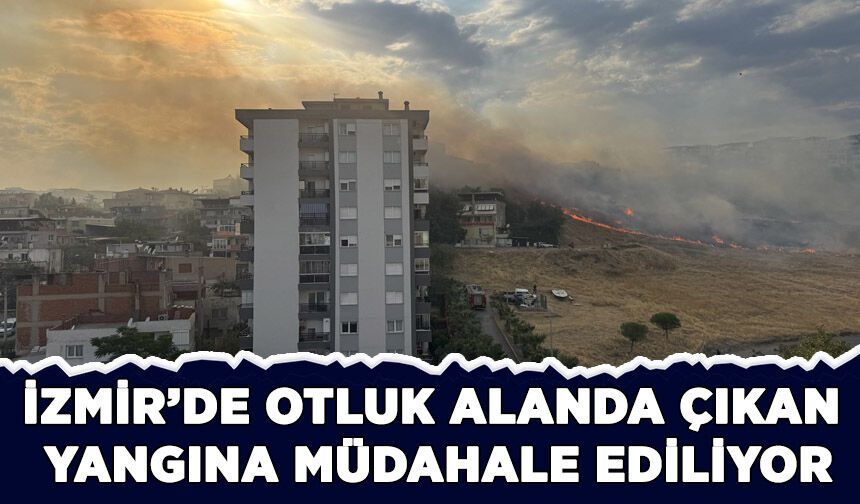 İzmir'de otluk alanda çıkan yangına müdahale ediliyor