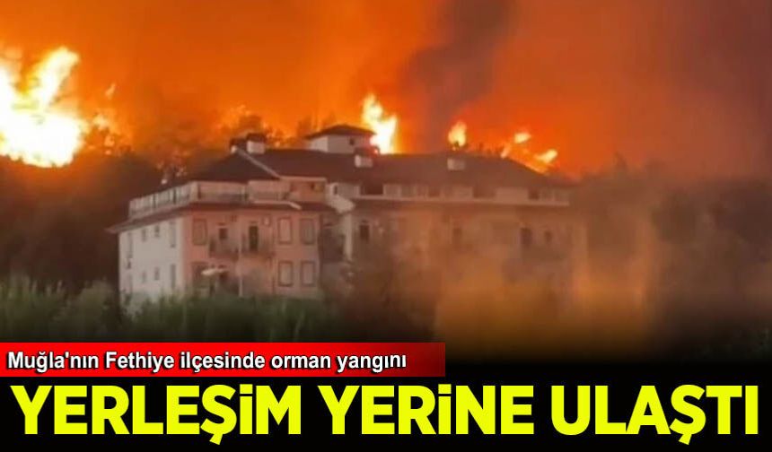Muğla'nın Fethiye ilçesinde orman yangını yerleşim yerine ulaştı