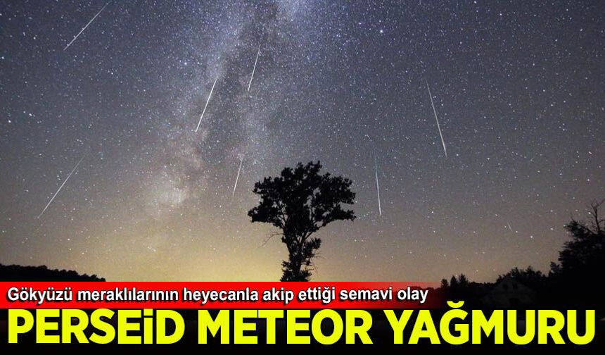 Gökyüzü meraklıları Perseid meteor yağmurunu gözlemledi