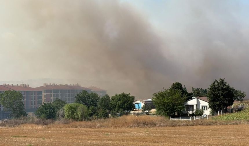 Silivri'de tarlada başlayan yangın yayıldı