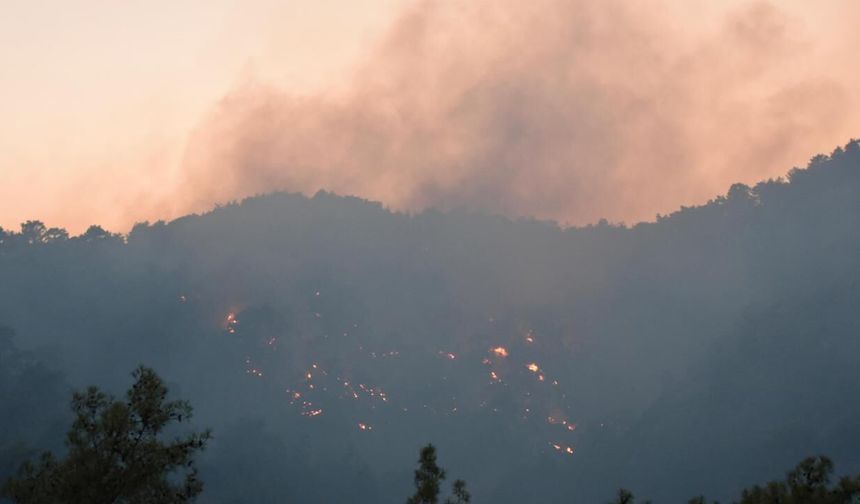 Kemer'deki orman yangını kontrol altına alındı