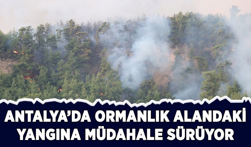 Antalya'da ormanlık alandaki yangına müdahale sürüyor