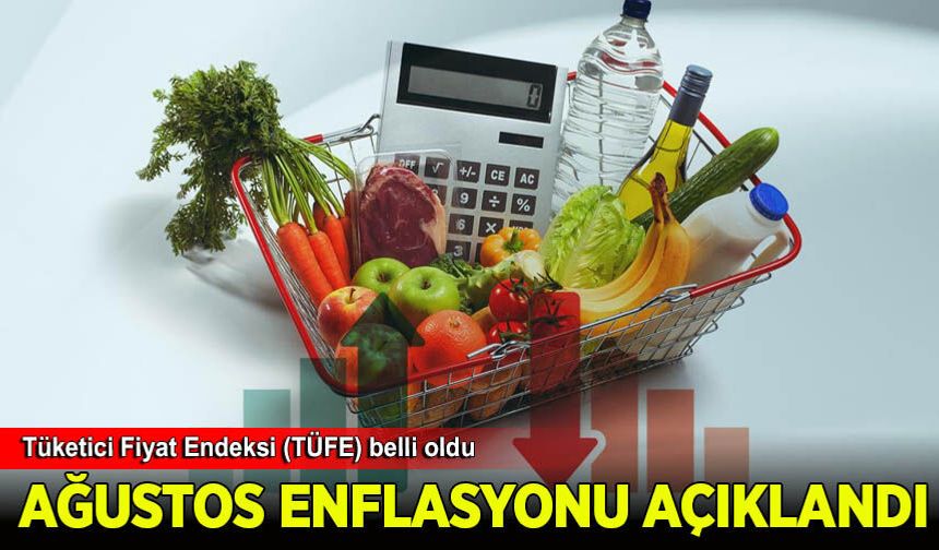 Ağustos enflasyonu açıklandı