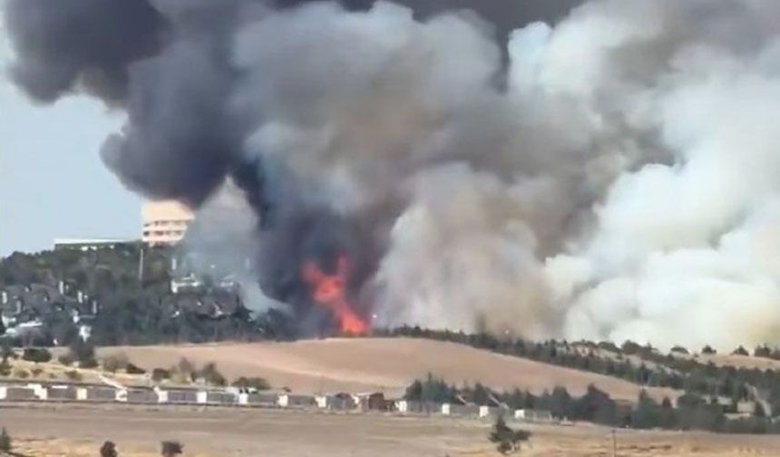 Ankara'da ormanlık alanda yangın çıktı