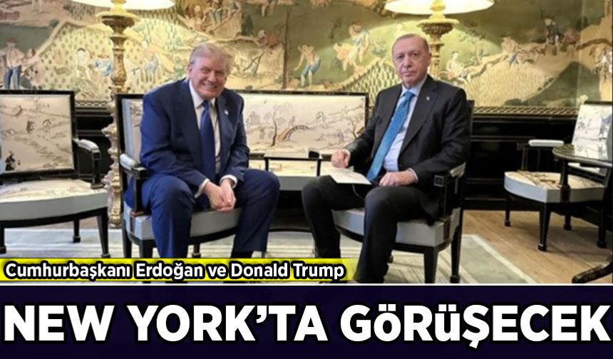 Cumhurbaşkanı Erdoğan, New York'ta Donald Trump ile görüşecek