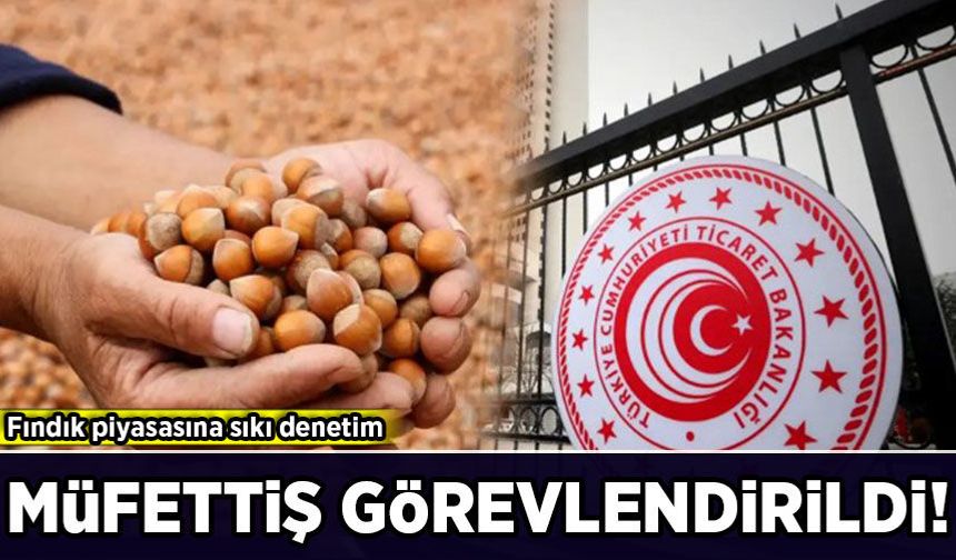 Fındık piyasasına sıkı denetim: İki şehir için müfettiş atandı!