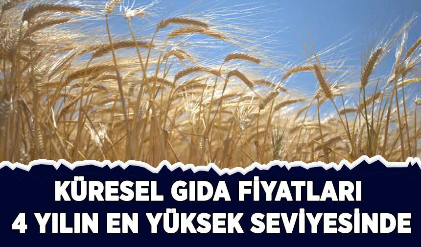 Küresel gıda fiyatları yaklaşık 4 yılın en yüksek seviyesinde
