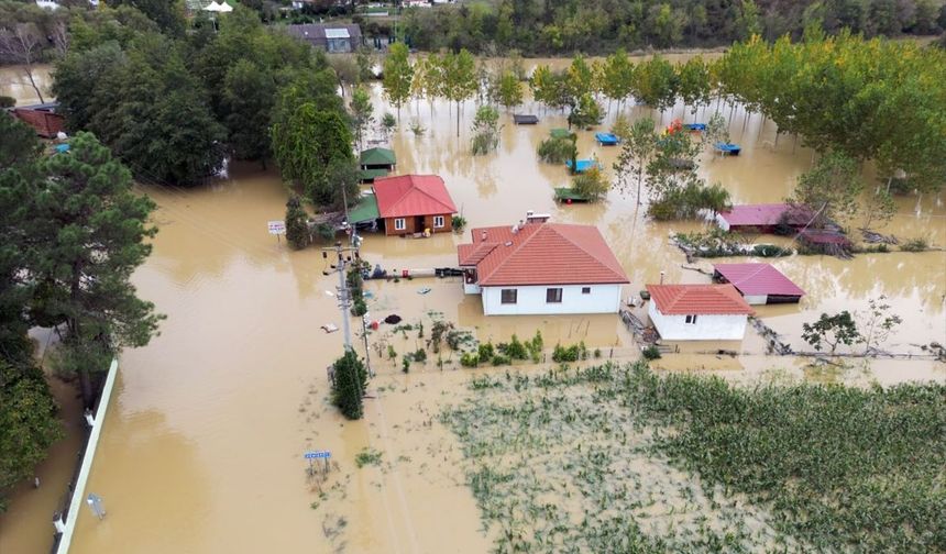 Acarlar Longozu'ndaki su seviyesinin yükselmesi taşkına neden oldu
