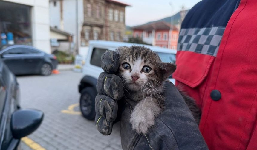 Sakarya'da otomobilin motor bölümünde sıkışan yavru kedi kurtarıldı