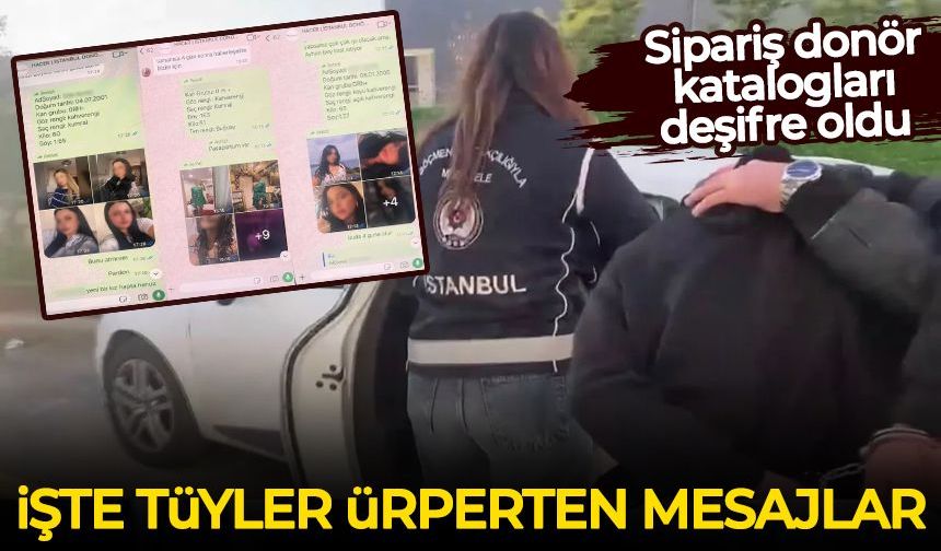 Sipariş donör katalogları deşifre oldu: İşte tüyler ürperten mesajlar