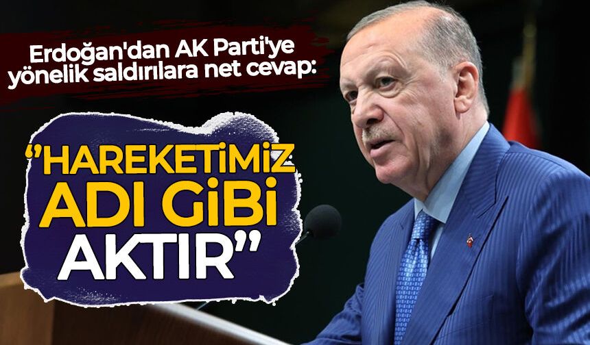 Erdoğan'dan AK Parti'ye yönelik saldırılara net cevap: Hareketimiz adı gibi aktır