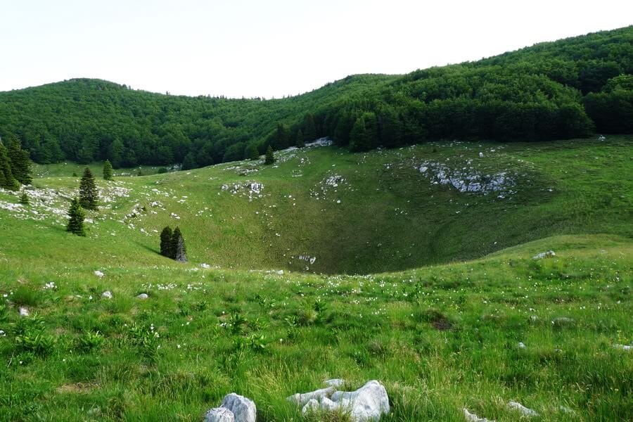 Dolin nedir? Özellikleri nelerdir? - Habervakti, son dakika haber ...