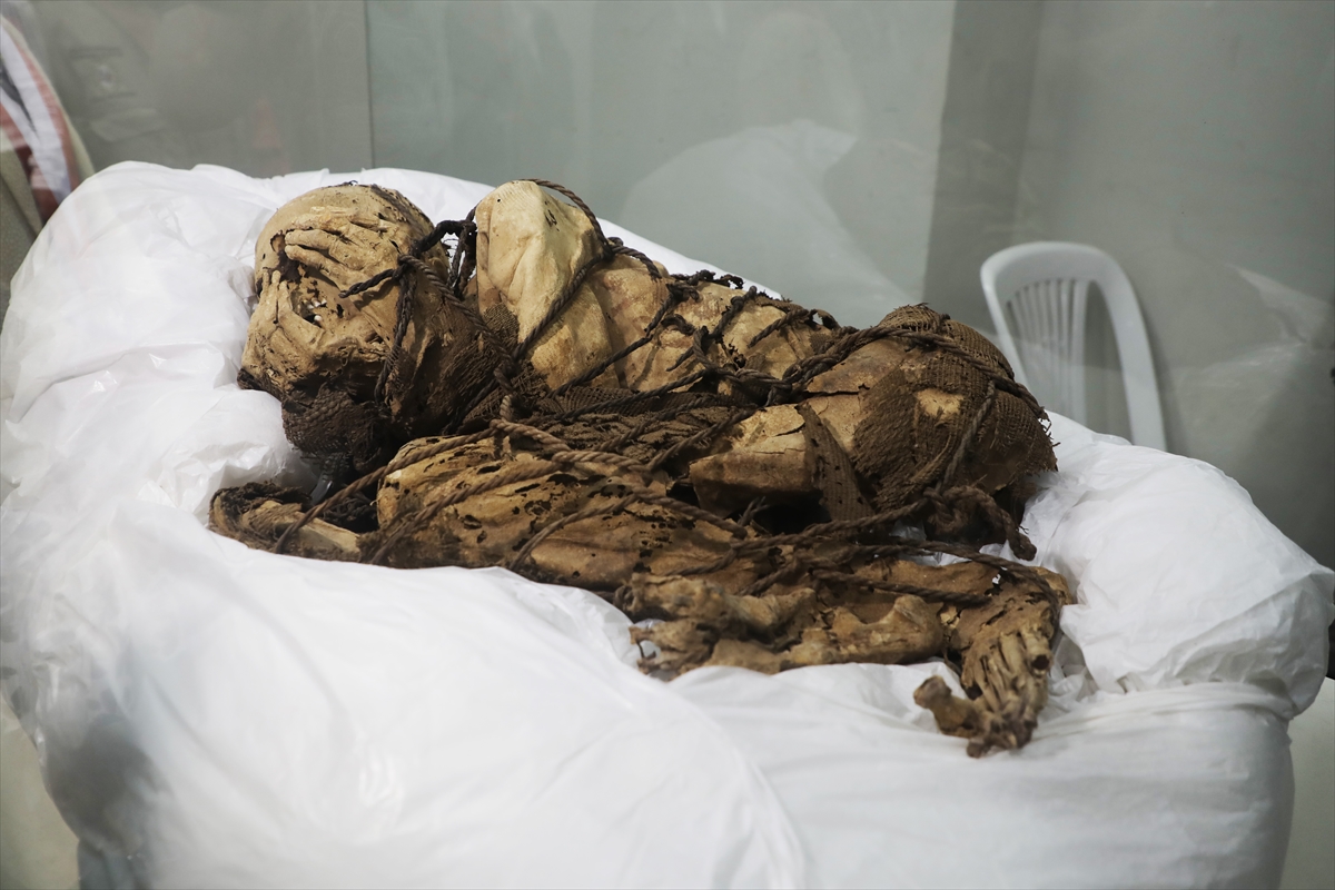 Peru'nun başkenti Lima'da San Marcos Üniversitesi tarafından Cajamarquilla arkeolojik sit alanında yürütülen kazılarda 800 ile 1200 yıllık olduğu tahmin edilen mumya bulunduğu duyuruldu. 