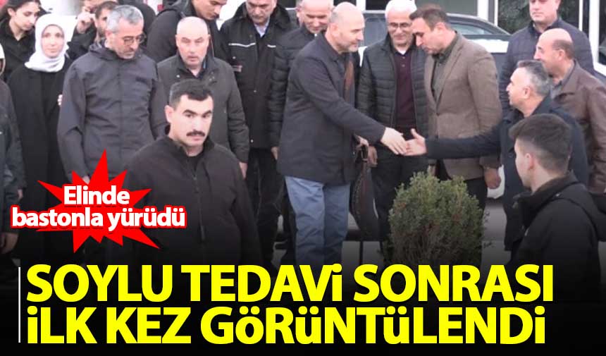 Soylu Tedavi Sonrası Ilk Kez Görüntülendi! Elinde Baston ...