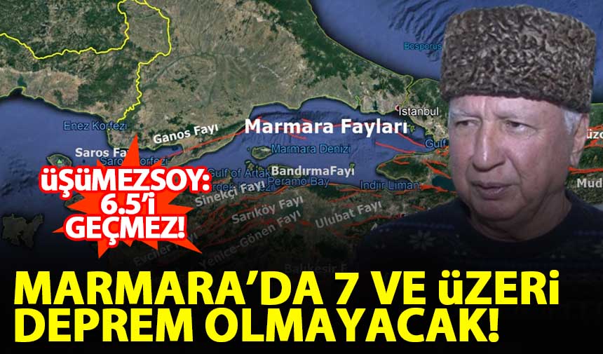 Şener Üşümezsoy: Marmara'da 7 Ve üzeri Deprem Olmayacak - Habervakti ...