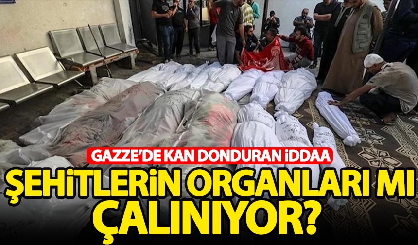 Gazze'de Kan Donduran Iddia! Şehitlerin Organlarını Mı çalıyorlar ...