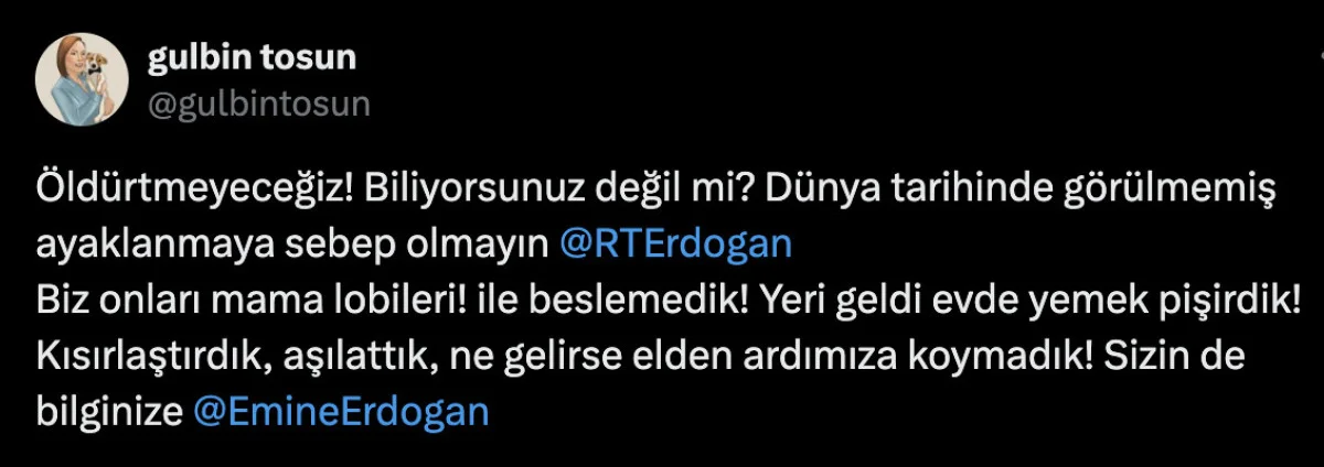 Gülbin Tosun Başıboş Köpek