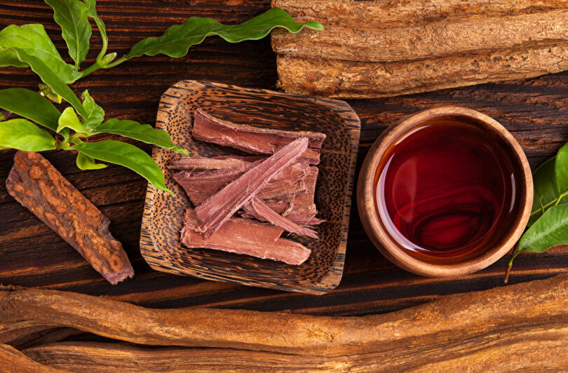 Ayahuasca Çayı
