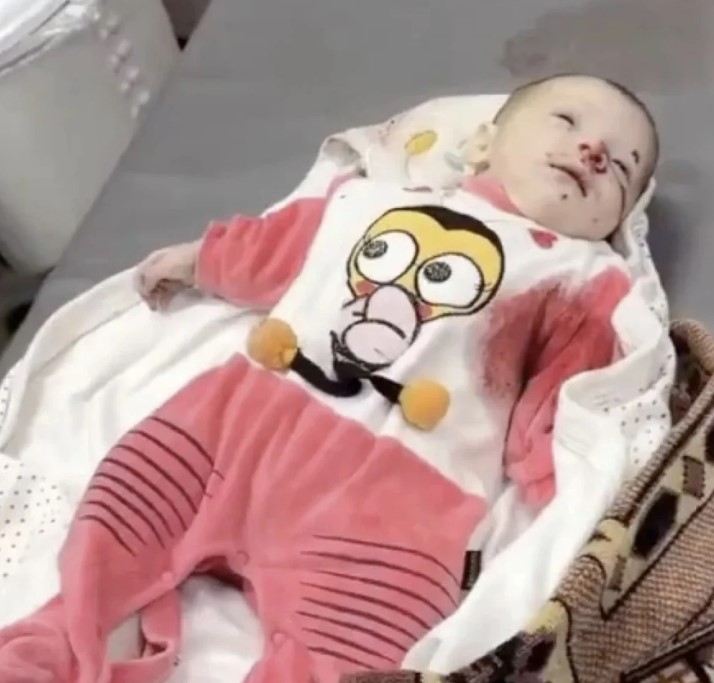 Gazzeli Lehit Bebek