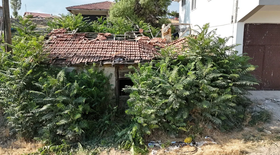 Ekran Görüntüsü 2025 07 19 162337