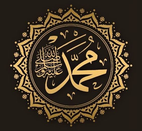 Hz. Muhammed In S.a.v. Cocuklari Damatlari Torunlari Ve Ehl I Beyt I 1
