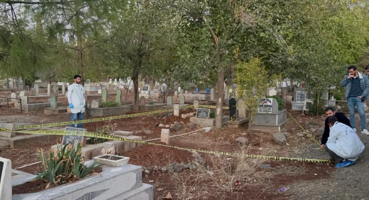 Ekran Görüntüsü 2025 10 30 214224