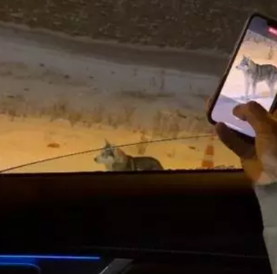 Ekran Görüntüsü 2025 12 30 231438