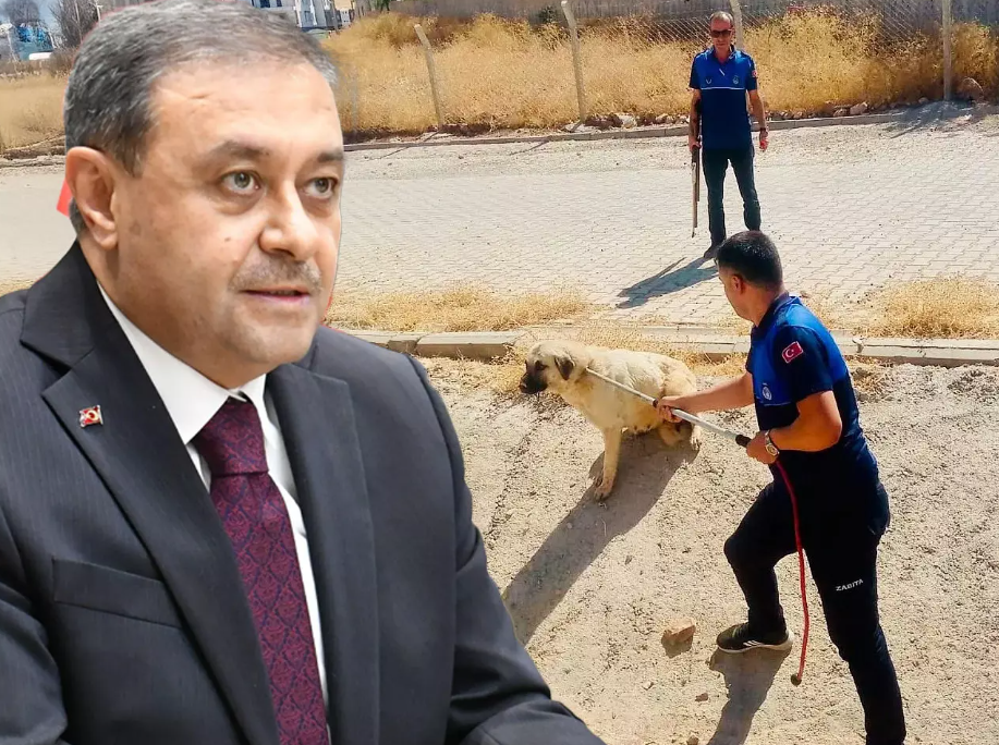 Ekran Görüntüsü 2026 02 22 075609