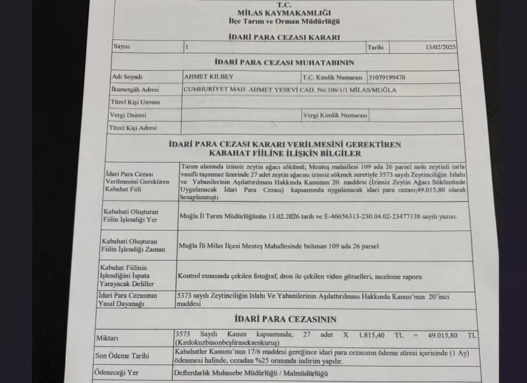 Zeytinlik Chp4
