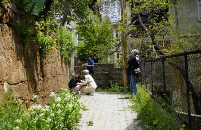 Ekran Görüntüsü 2026 05 25 204507