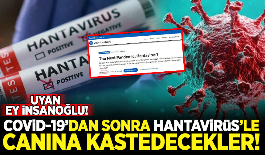 GAVİ 10 Mayıs 2021'de duyurmuş: Bir sonraki pandemi: Hantavirüs!