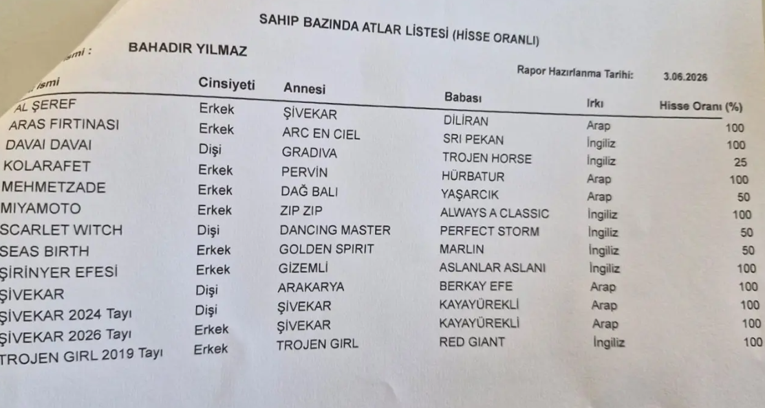 Ekran Görüntüsü 2026 06 04 185414
