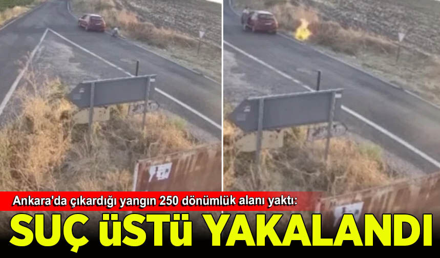Ankara'da çıkardığı yangın 250 dönümlük alanı yaktı: Tutuklandı