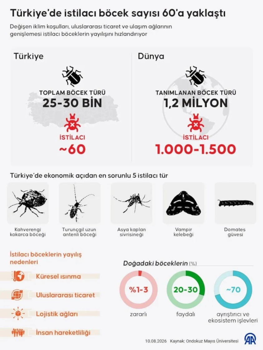 Ekran Görüntüsü 2026 08 11 191102