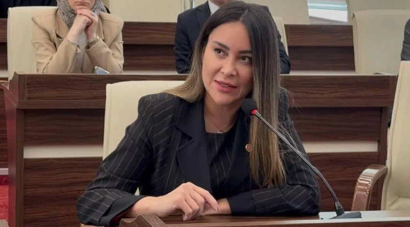 Ekran Görüntüsü 2026 08 15 110731
